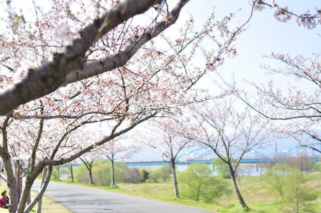 久留米温泉