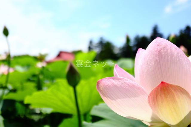 大坊温泉