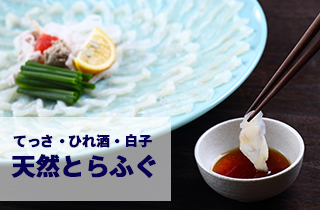 天然とらふぐ