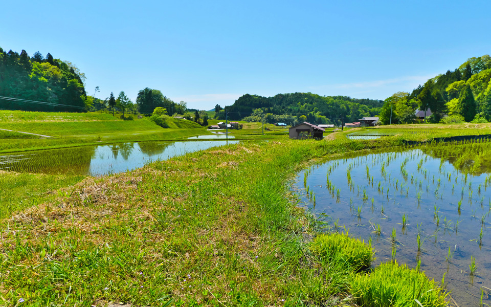 亀嵩温泉