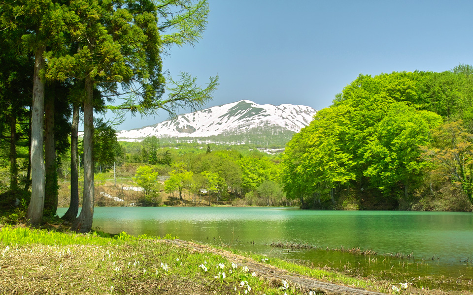 月山志津温泉