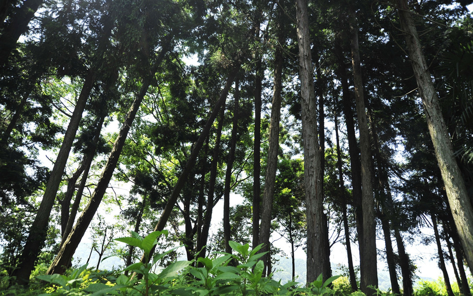 五頭今板温泉