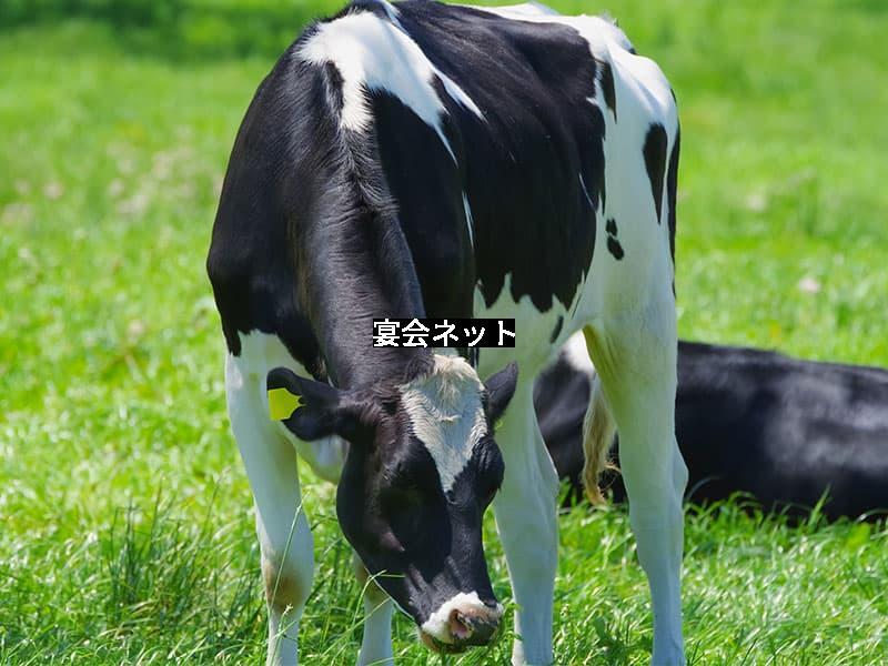 Hakodatetaiken 0015