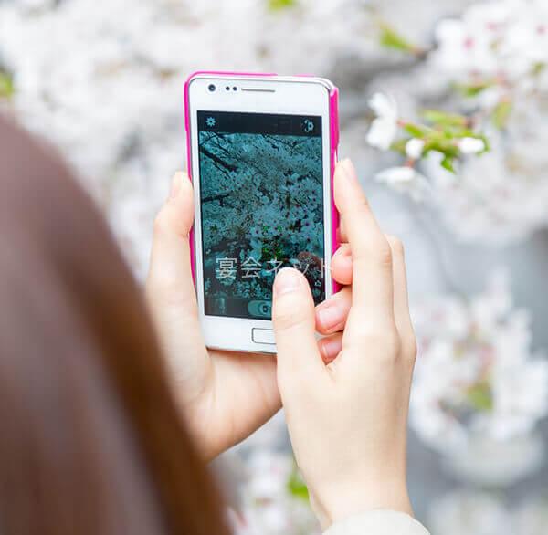 Hanami 2