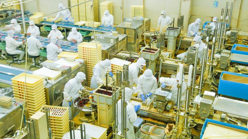石和温泉　桔梗屋本社工場