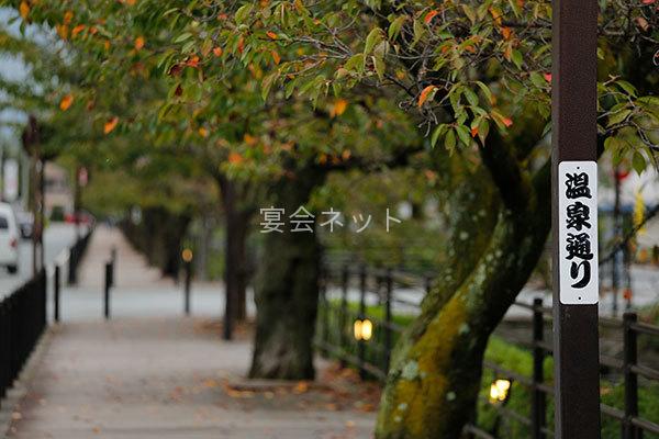 Isawa Sample