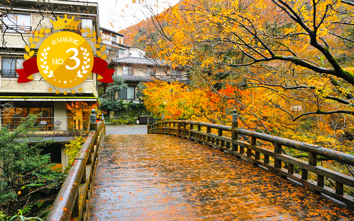 山代温泉のこおろぎ橋