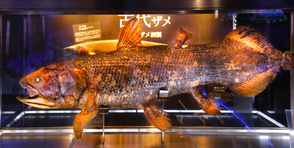 Izunagaoka 026