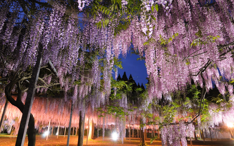 安楽温泉(鹿児島県)