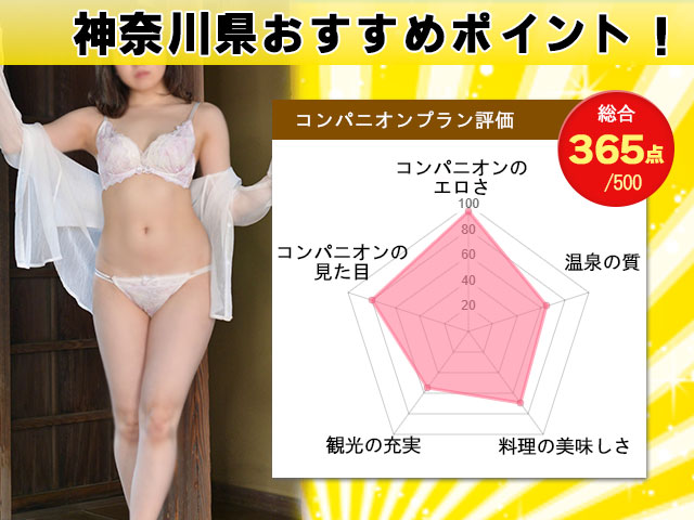 神奈川ーピンクコンパニオン