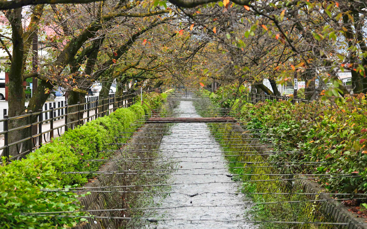 春日居温泉