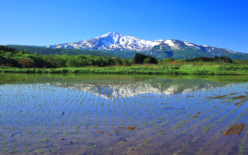 金浦温泉