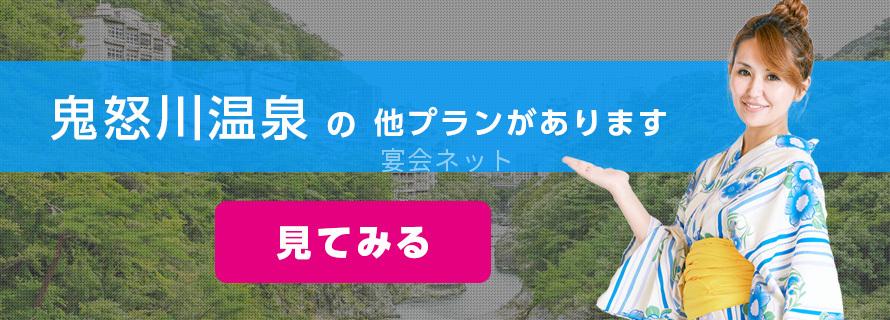 鬼怒川温泉についての問い合せ