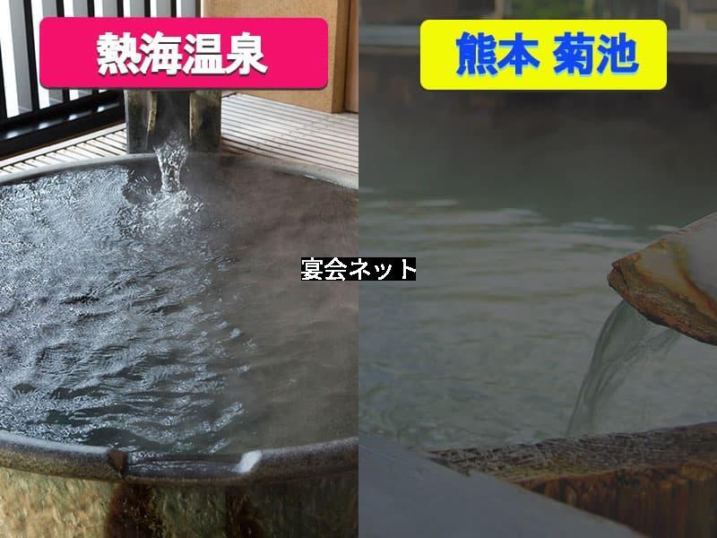 熱海温泉と菊池温泉の泉質