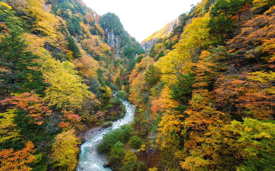 葛温泉