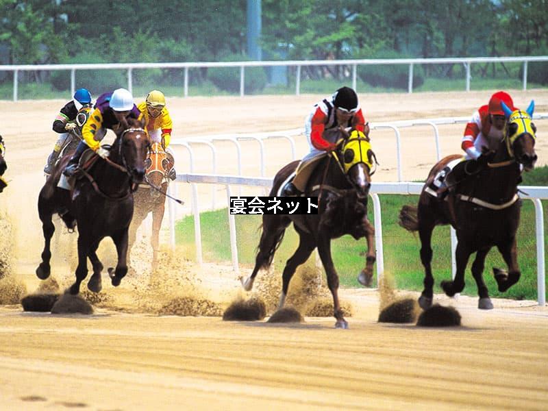 京都　競馬