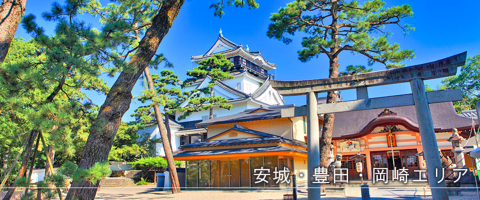 岡崎城の様子