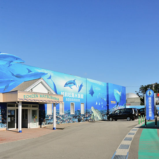 越前松島水族館