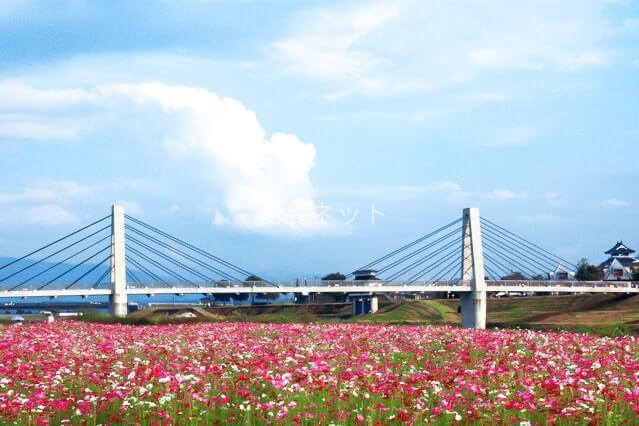 七城温泉