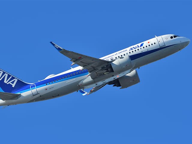 飛行機