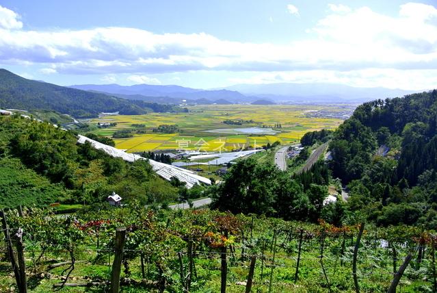 赤湯温泉(山形県)