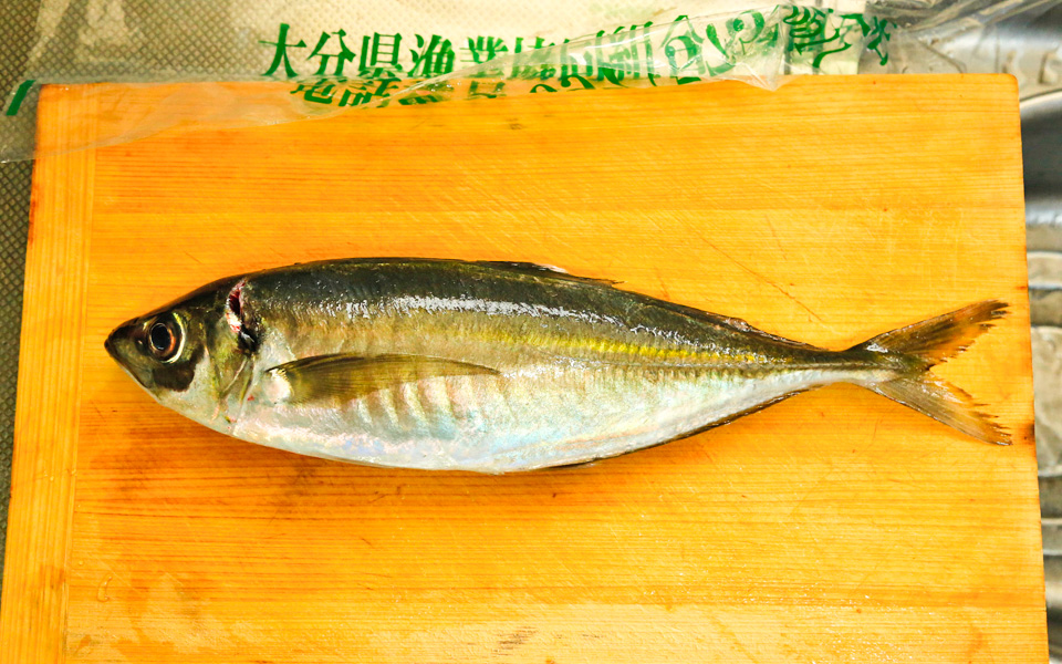 関アジ