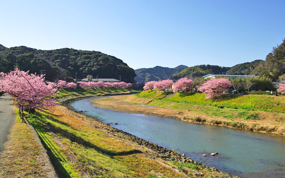 下賀茂温泉