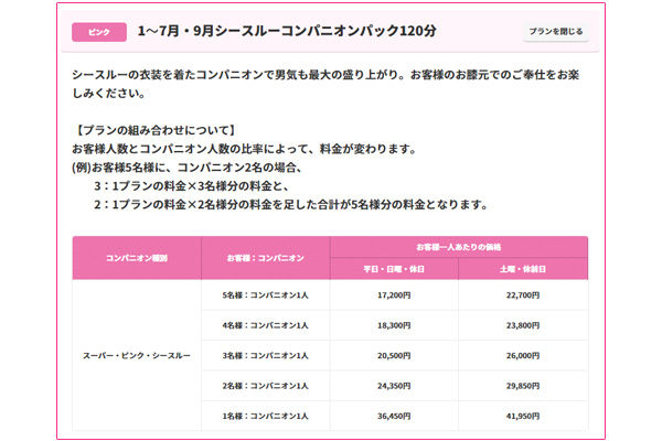 シースルーコンパニオンプラン