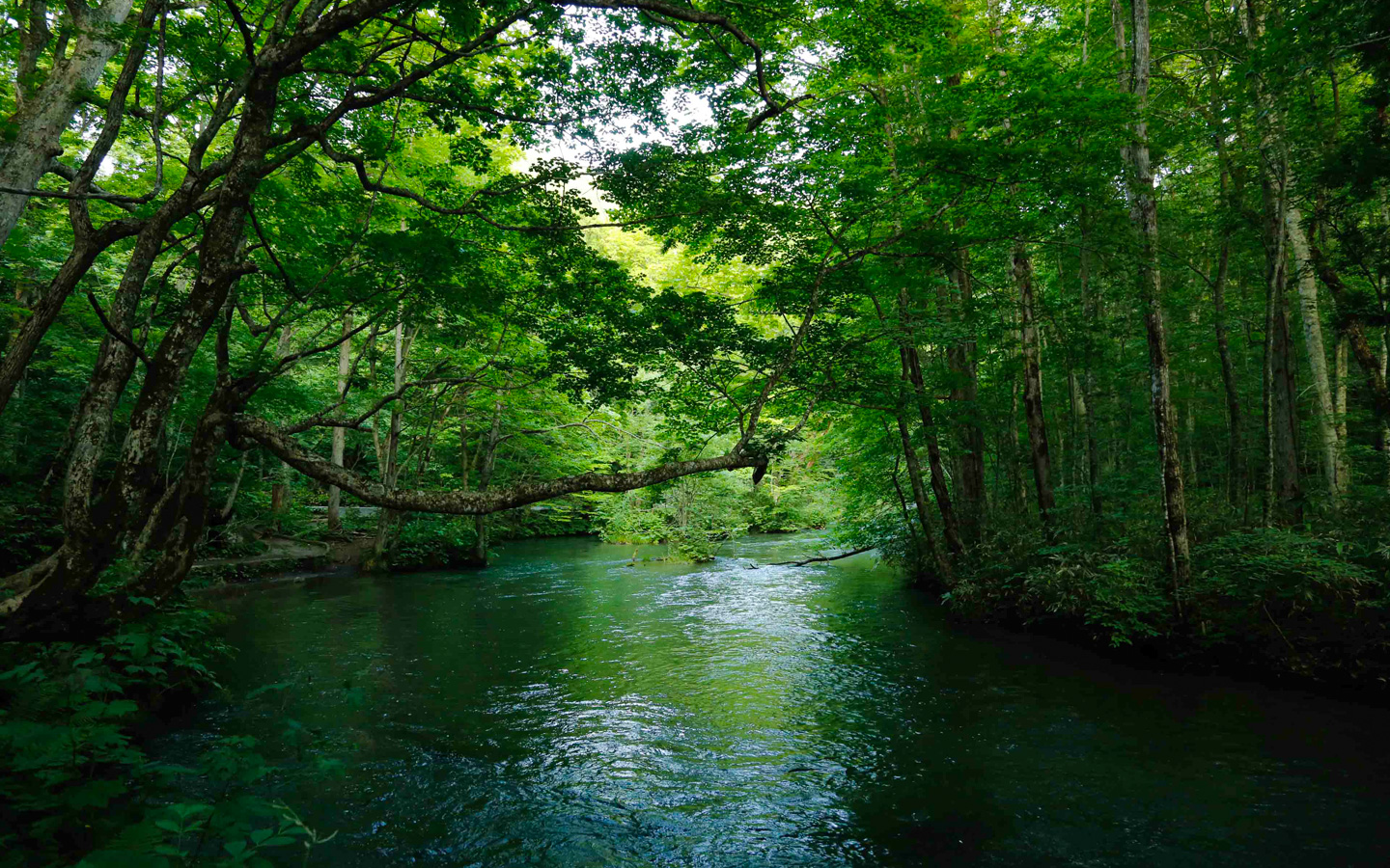 十和田湖温泉郷