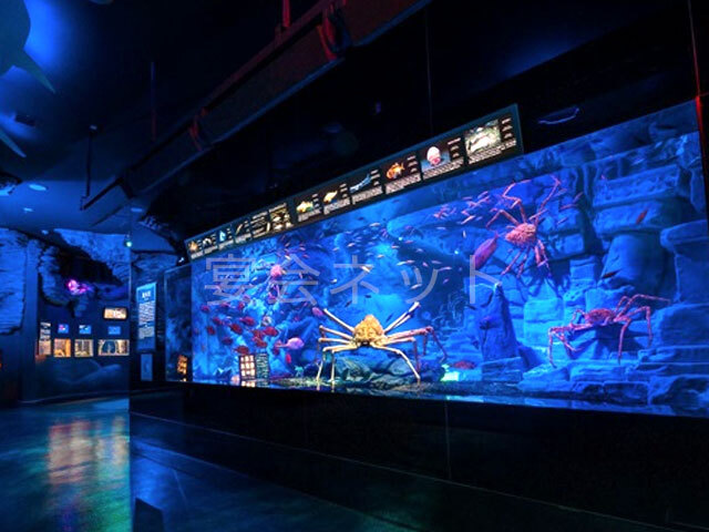 沼津港深海水族館