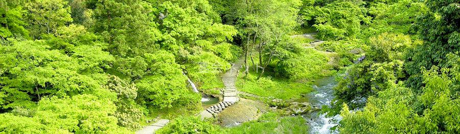 山中温泉の鶴仙渓