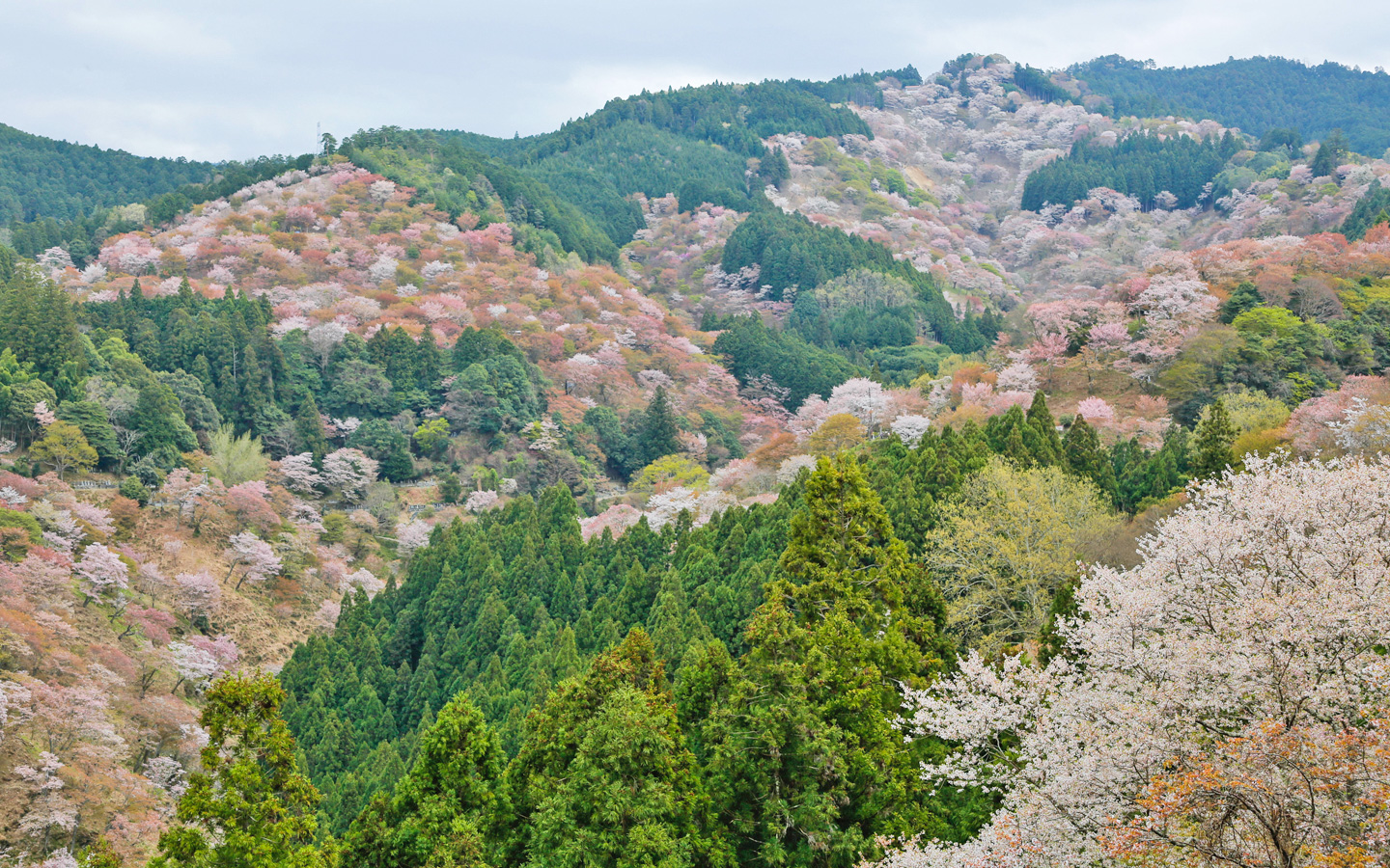 吉野温泉