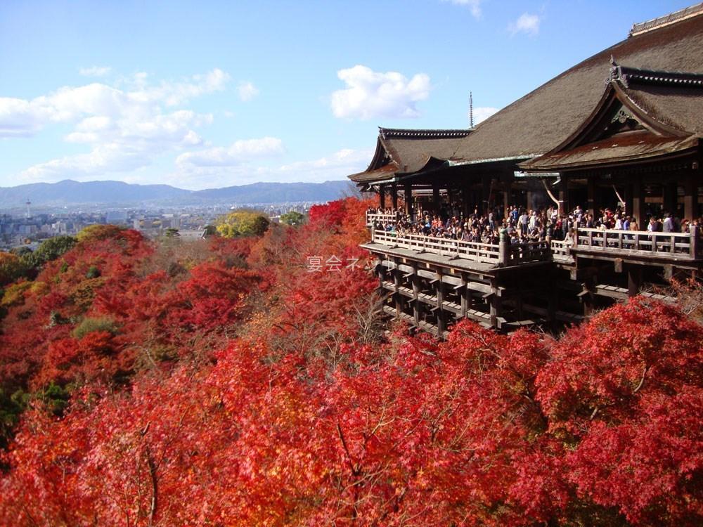 京都 R