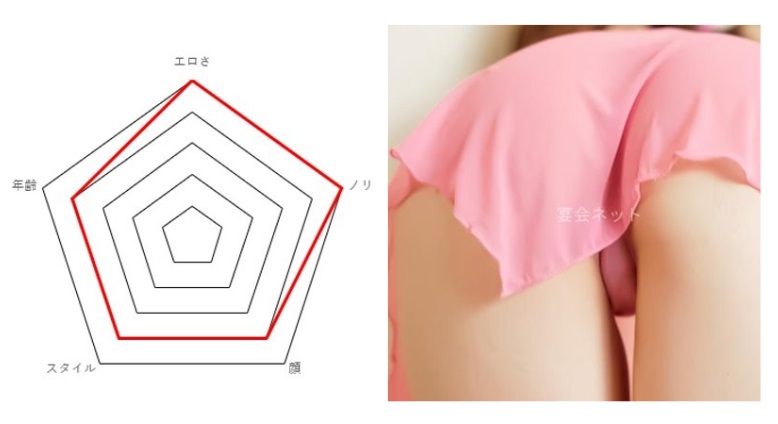 山梨県 石和温泉 ホテル古柏園 点数