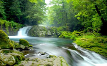 菊池温泉