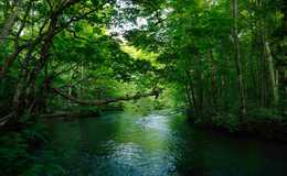 十和田湖温泉郷