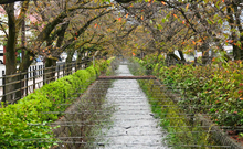 春日居温泉