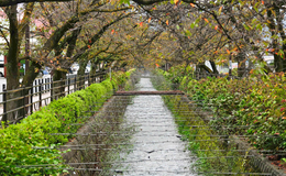 春日居温泉