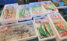 紀州温泉