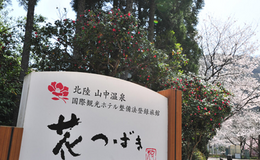 看板 - 花つばき