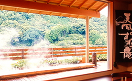 伊豆長岡ホテル天坊の露天風呂