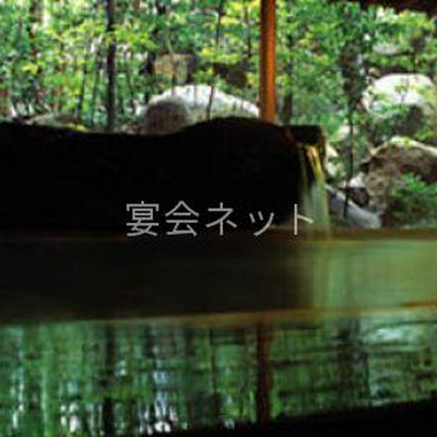 お風呂 - 道後温泉 大和屋本店
