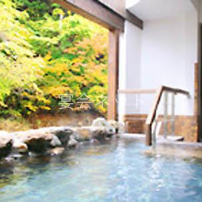 かわべの湯 - 大沢温泉 山水閣