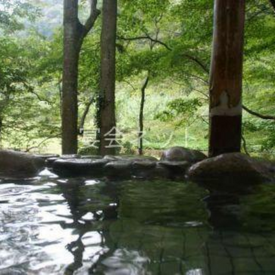 露天風呂 - さぬき温泉