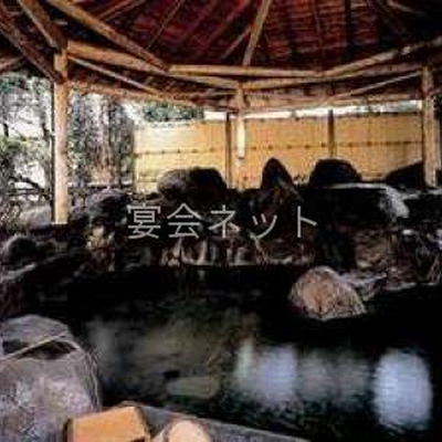 貸切露天風呂「名工の湯」 - うれしの元湯