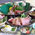 料理 - 湯の峯荘