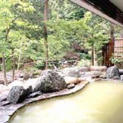 露天風呂 - 秘湯の宿　元泉館