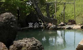 露天風呂 - 旅館ニューおおたか