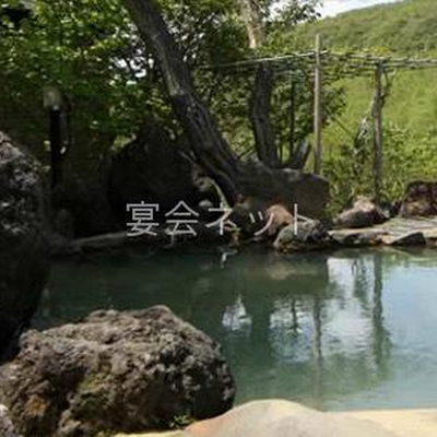 露天風呂 - 旅館ニューおおたか