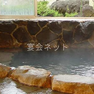 内湯 - 旅館ニューおおたか